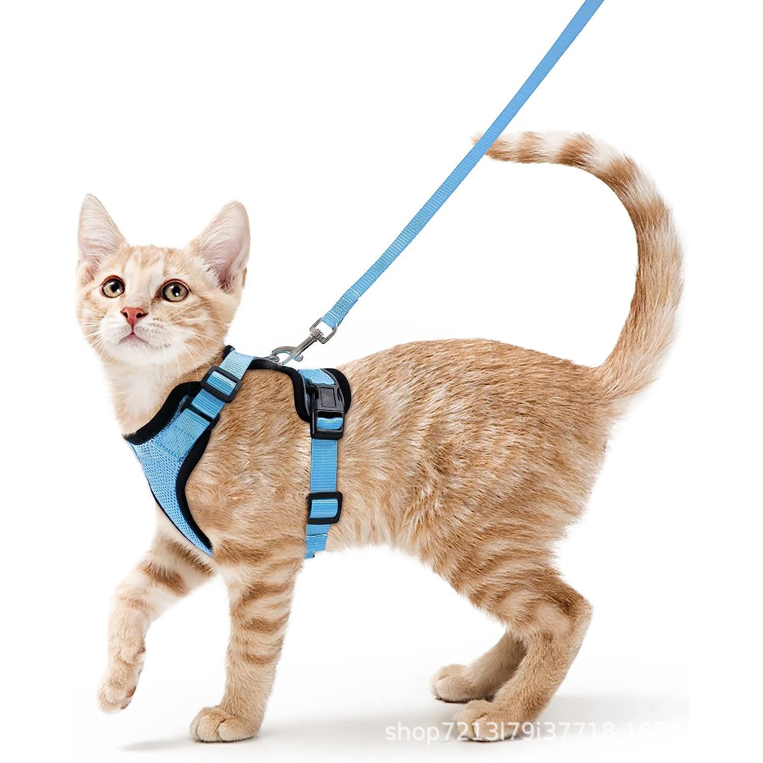 Adjustable Reflective Pet Harness and Leash