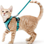 Adjustable Reflective Pet Harness and Leash