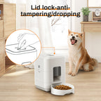 Automatic Pet Feeder