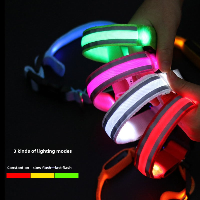 USB Rechargeable LED Reflective Dog Collar