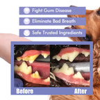 Pet Oral Spray