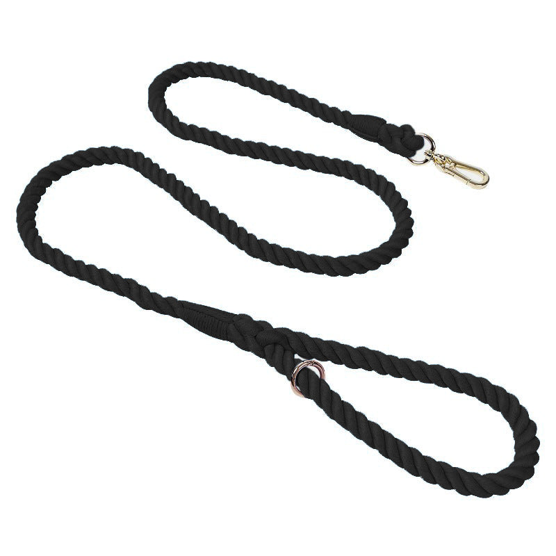 Woven Pet Dog Leash and Collar with Gold Accessories