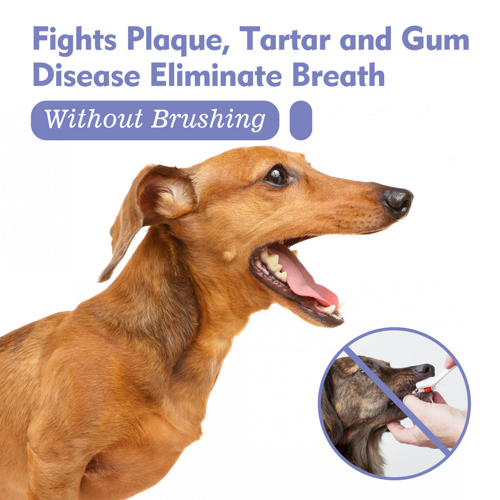 Pet Oral Spray