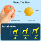 Rechargeable LED Pet Toy Ball